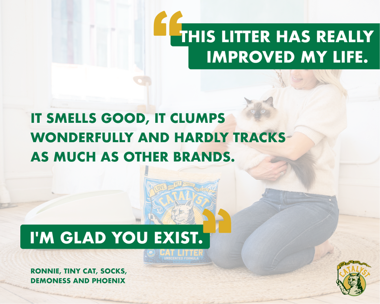 World's Best Cat Litter