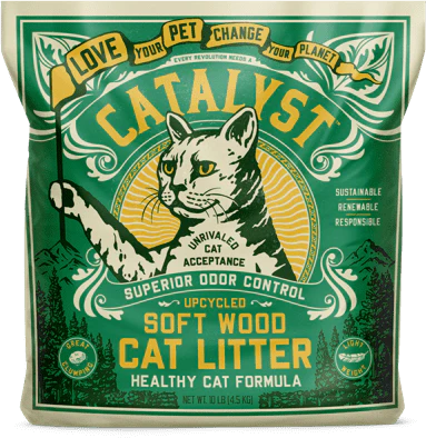 Cat Litter Healthy Cat