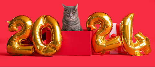 Tackle Your New Year’s Resolutions with Catalyst Pet