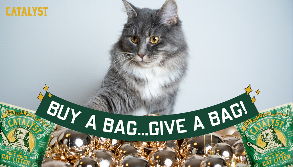 Catalyst Pet Donates Six Tons of Litter to Rescue Partners