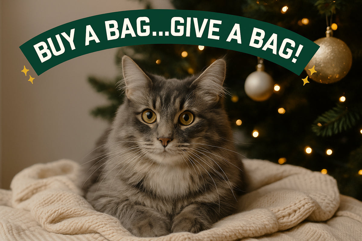 Giving Back, One Bag at a Time: Catalyst Pet Donates More Than 34 Tons of Litter to Rescue Partners