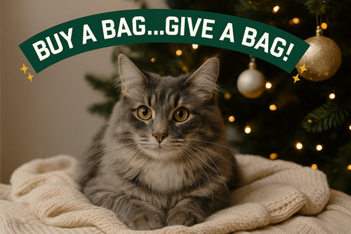 Giving Back, One Bag at a Time: Catalyst Pet Donates More Than 34 Tons of Litter to Rescue Partners
