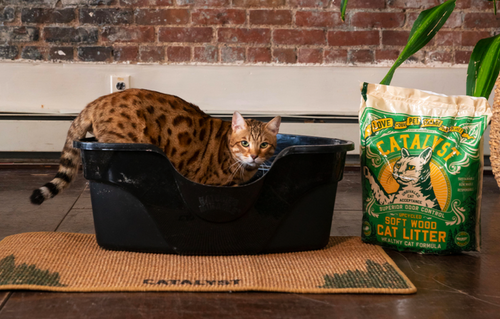 Here's the Scoop: Saving Money with Catalyst Pet