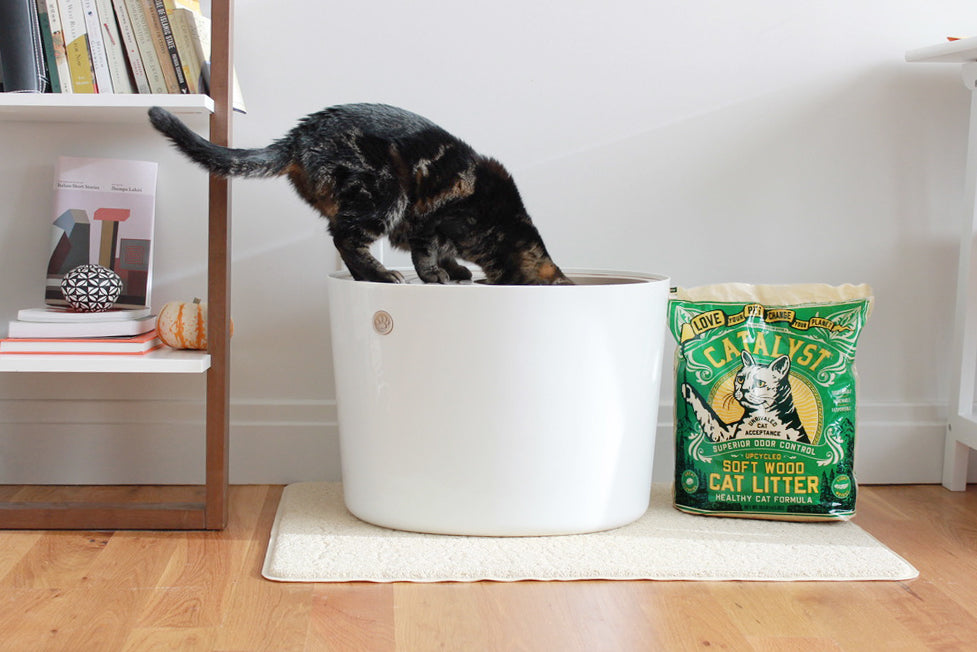 How-To Use Catalyst Litter