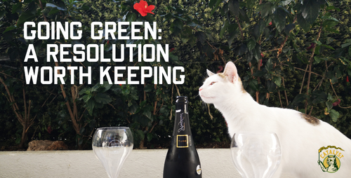 Going Green with Your Pet for 2022