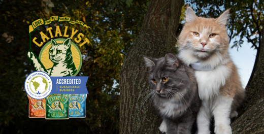 Catalyst Pet Receives Pet Sustainability Coalition Accreditation