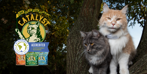 Catalyst Pet Receives Pet Sustainability Coalition Accreditation