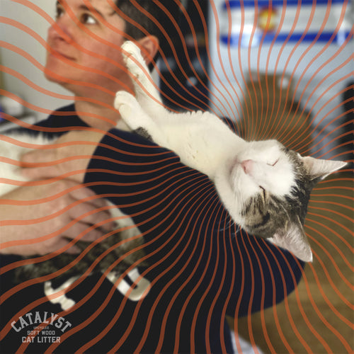 It’s a Scientific Fact...Cats are Great for You!