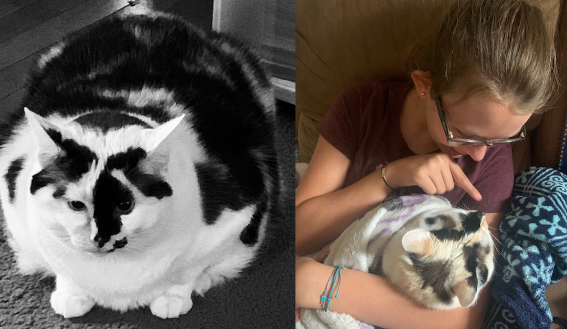 Get to Know Our Catalyst Team: Meet Joy and Her Cat, Georgia!