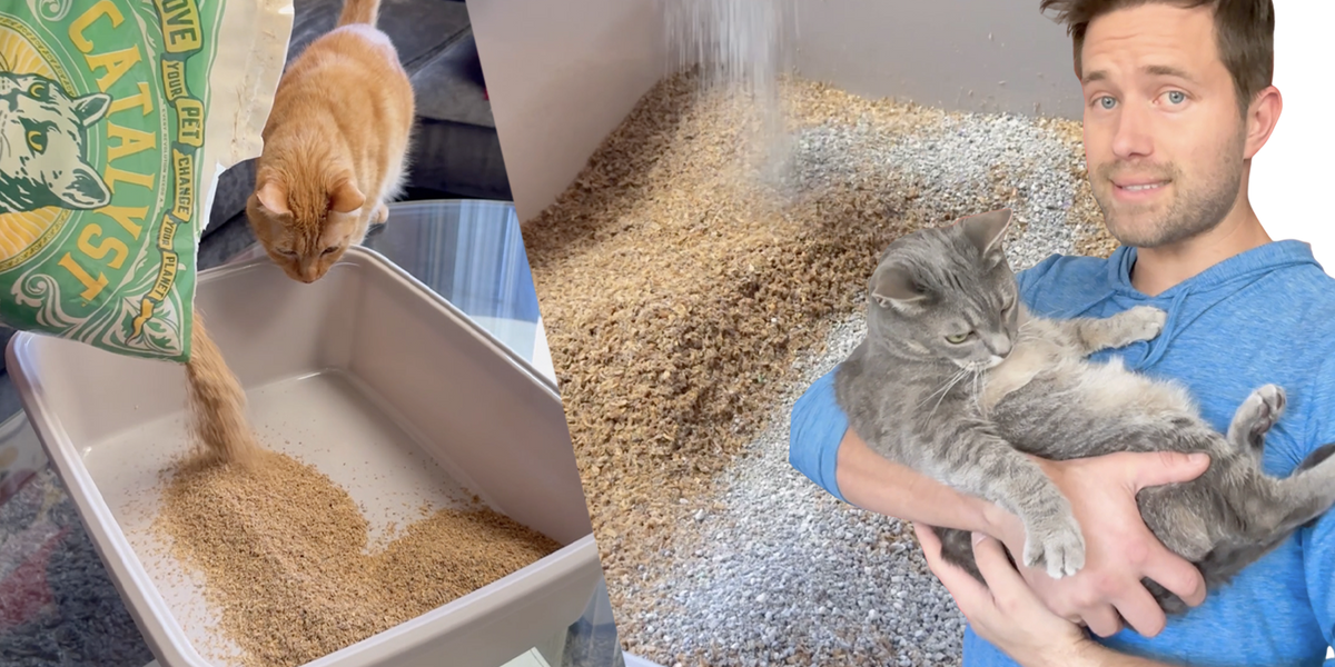 How to Successfully Make the Switch to Catalyst Pet Litter Catalyst Pet