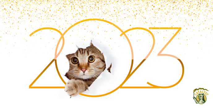The New Year’s Resolution Trifecta: Save Money, Live Sustainably and Be Healthier with Catalyst Pet