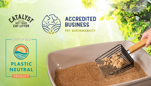 Reducing Our Paw Print on Earth Day and Every Day: Catalyst Pet Is a Healthier Option for Cats and the Planet