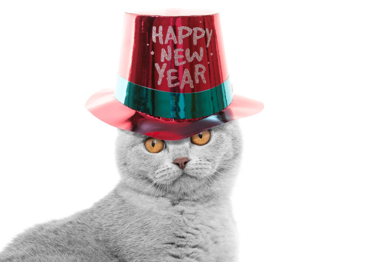 Cheers to 2026: A Smarter Way to Care for Your Cat, Your Wallet, and the Planet