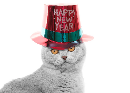 Cheers to 2026: A Smarter Way to Care for Your Cat, Your Wallet, and the Planet