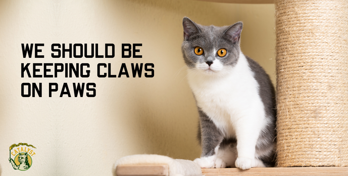 Why Declawing Cats is Harmful