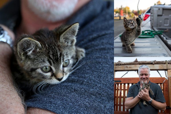 Meet Sticky and the Sticky the Kitty Foundation