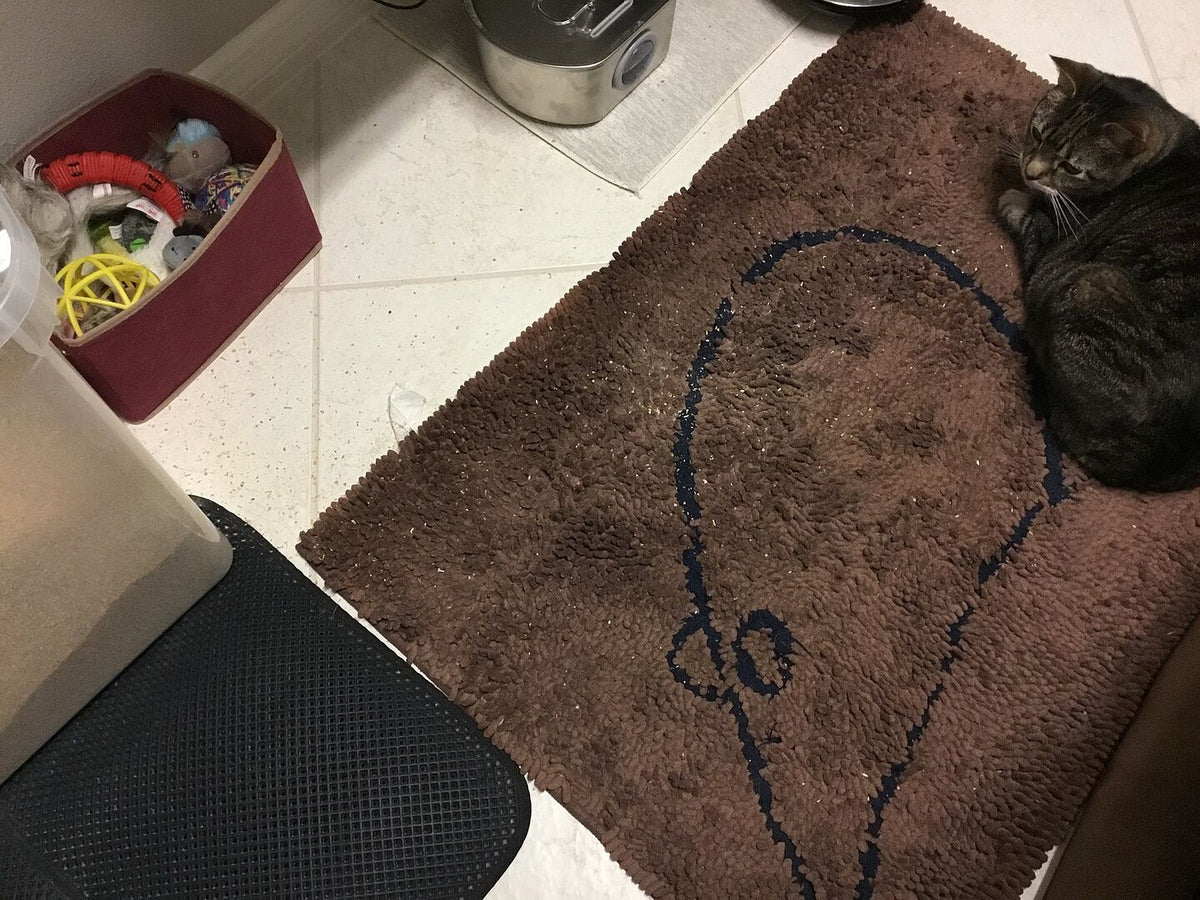 Low-dust clumping litter FAQ for allergy-sensitive homes