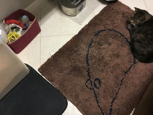 Low-dust clumping litter FAQ for allergy-sensitive homes