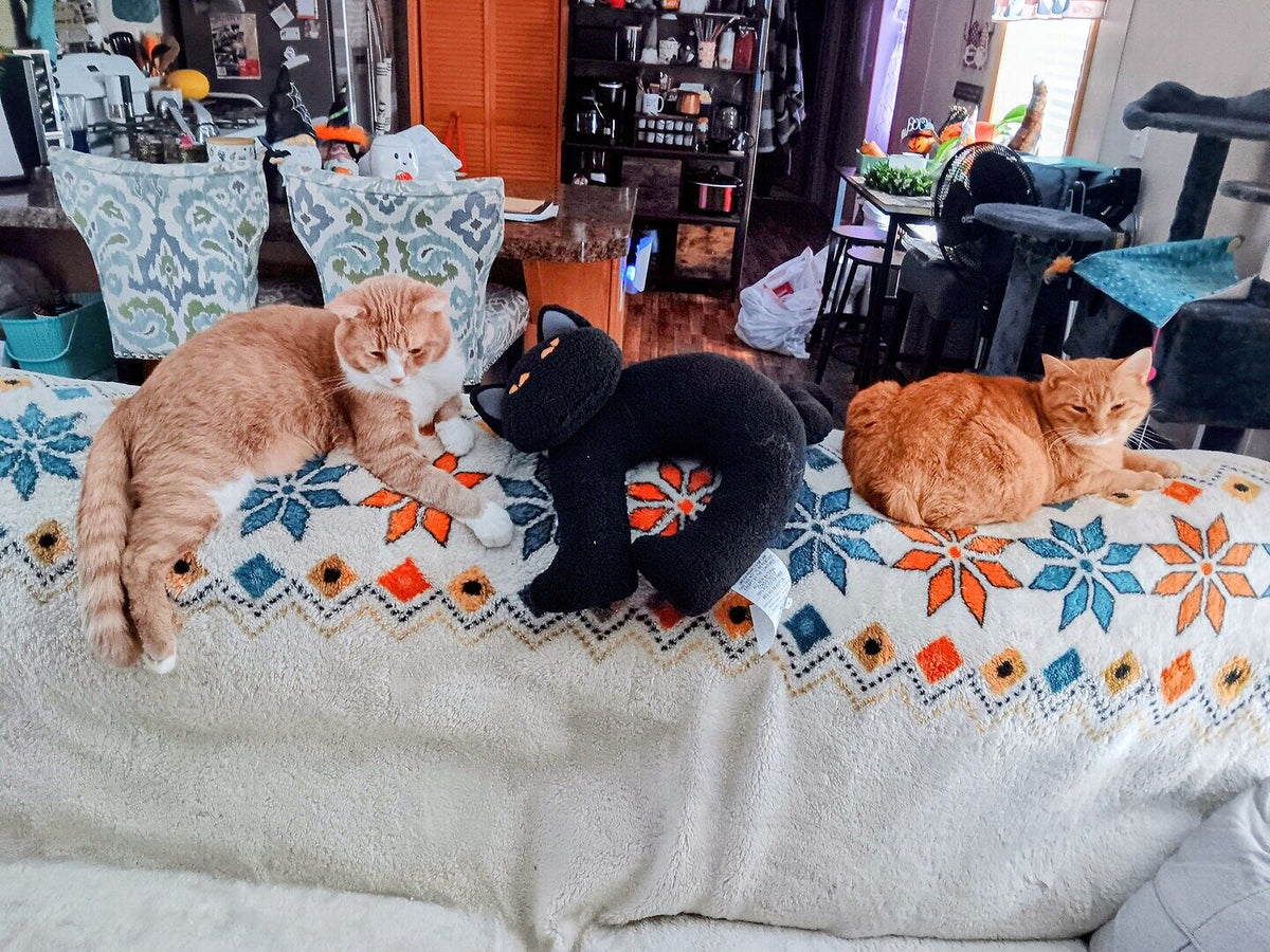 Best non-clay alternative to Tidy Cats if you want less tracking