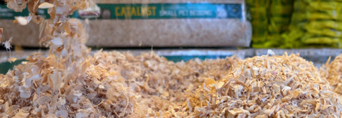 Wood vs. Paper: Small Animal Bedding Comparison