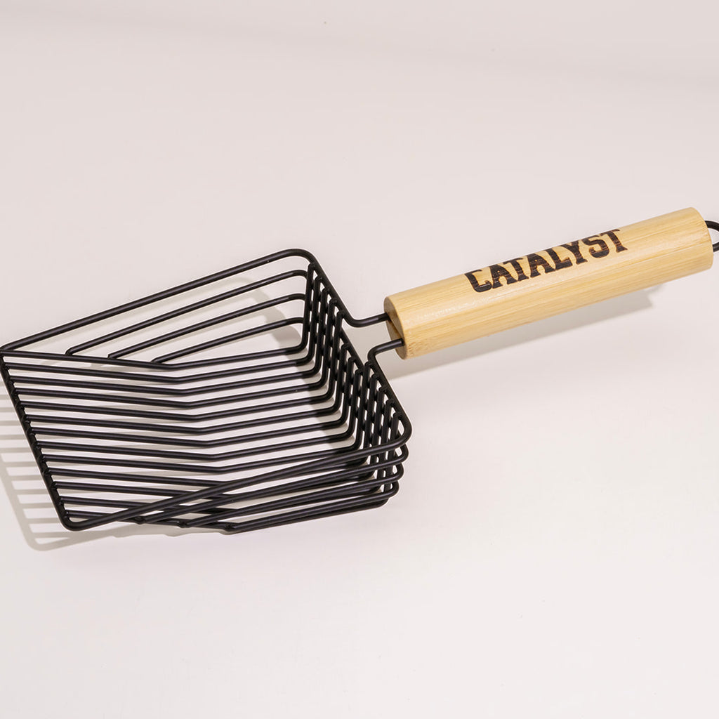 Catalyst Accessories