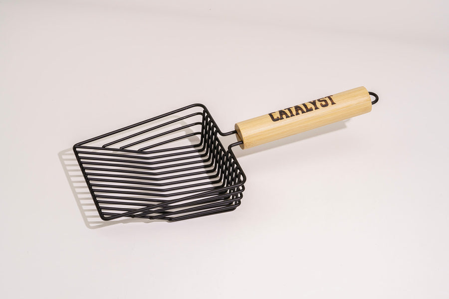 Catalyst Scoop