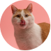 Multicat Cat Litter