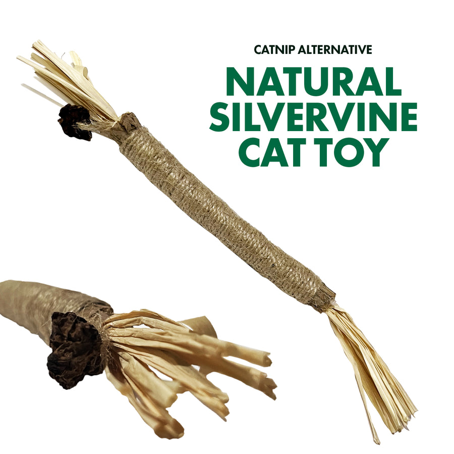 Catalyst Silvervine Toy