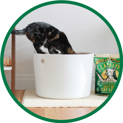 Dust Free Cat Litter