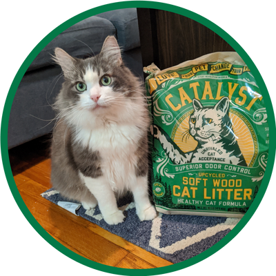 Dust Free Cat Litter