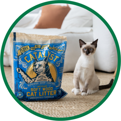 Dust Free Cat Litter