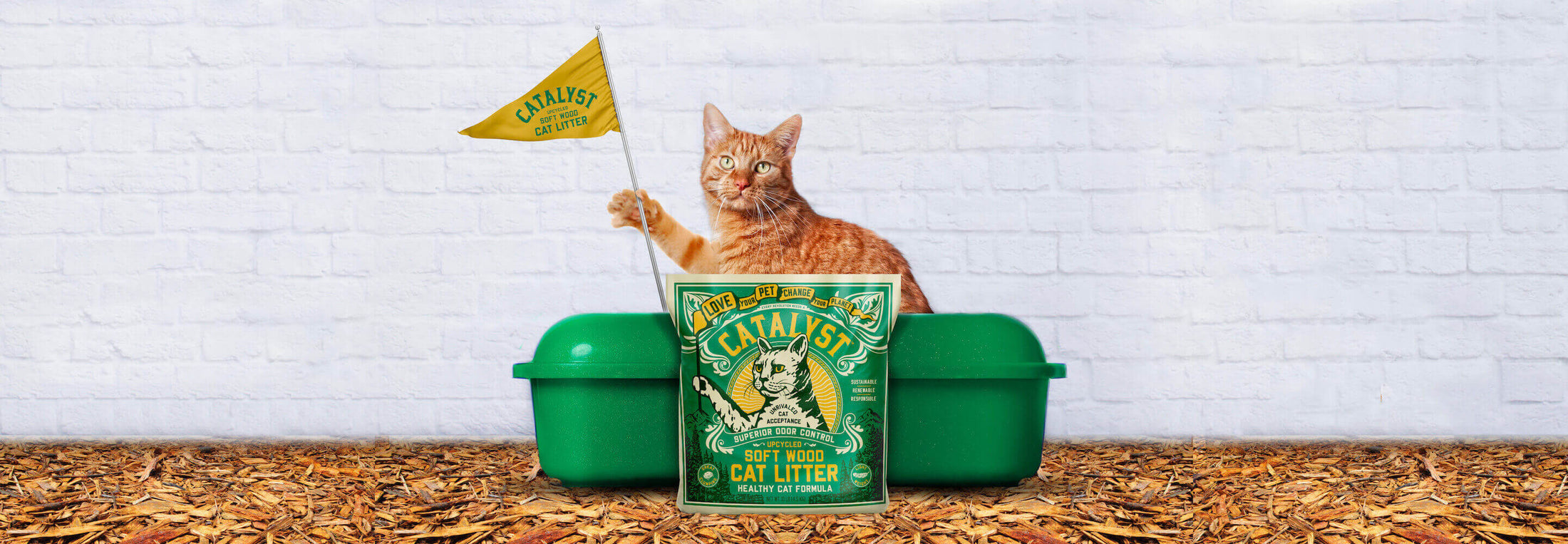 Catalyst Pet World’s Best Catalyst Cat Pet Litter in USA