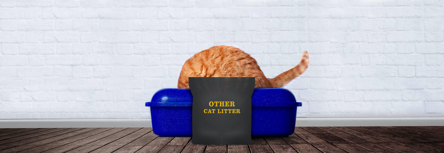 Catalyst Pet World’s Best Catalyst Cat Pet Litter in USA