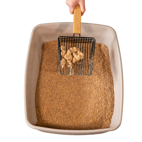 Pine cat litter on sale scoop