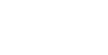 Catalyst Soft Wood Cat Litter